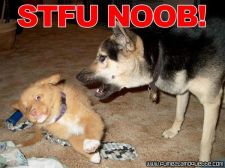STFU n00b 2.jpeg